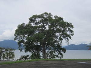 2015.8.29
