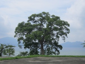 2015.8.3