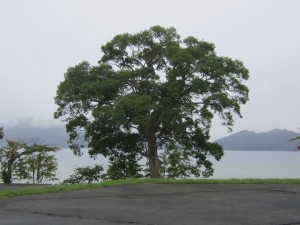 2015.8.31