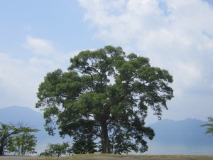 2015.8.7