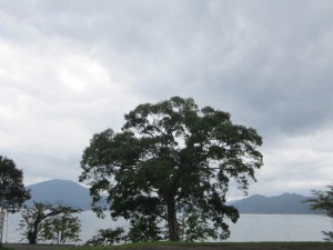 2015.9.12