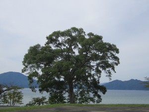 2015.9.17
