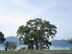 2015.9.23