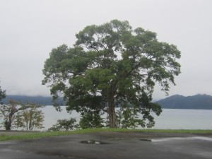 2015.9.26