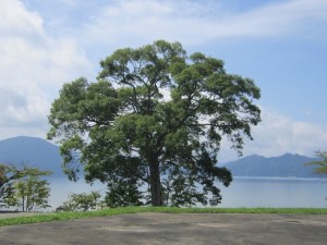 2015.9.3