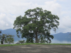 2015.9.5