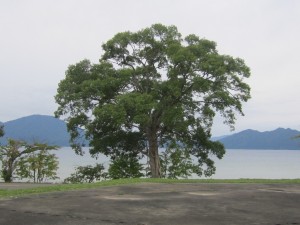 2015.9.62