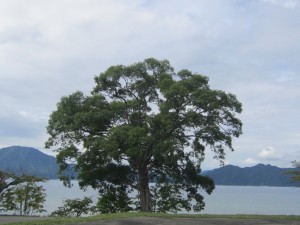 2015.9.7