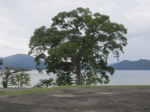 2015.9.8