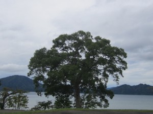 2015.9.9