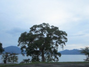 IMG_5516