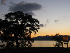 IMG_5561