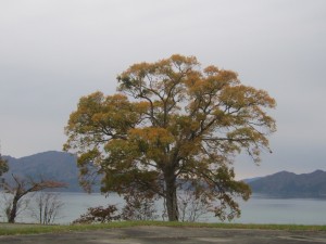 2015.10.24