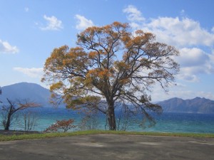 2015.10.26