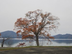 2015.11.2