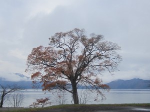 2015.11.3