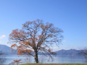 2015.11.4